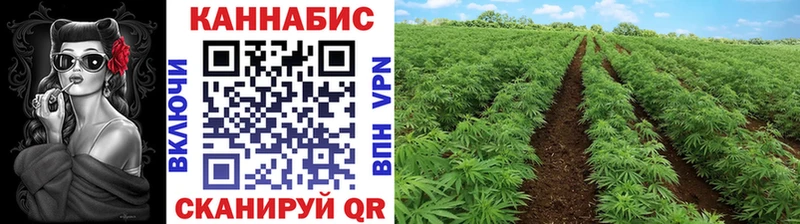 omg сайт  Гремячинск  Шишки марихуана ГИДРОПОН 
